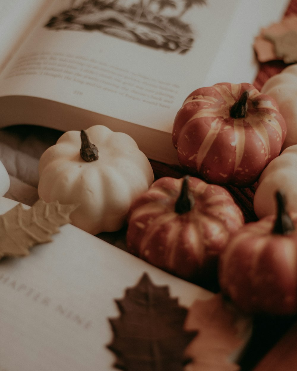 a close up of a book with pumpkins on it