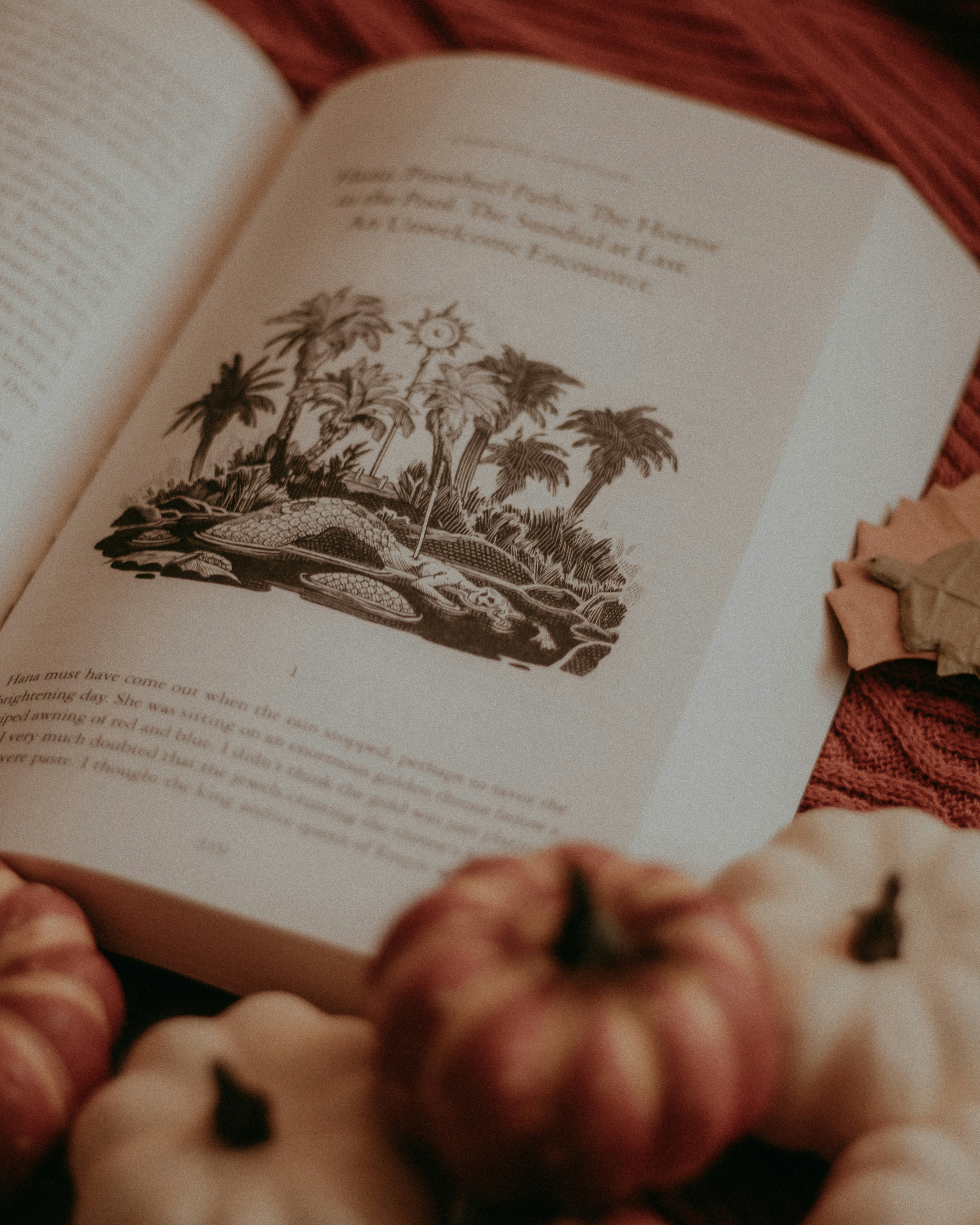 an open book sitting on top of a red blanket