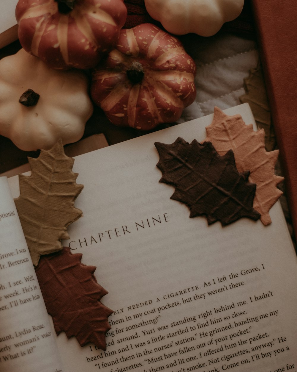 a book opened to a page with leaves and pumpkins