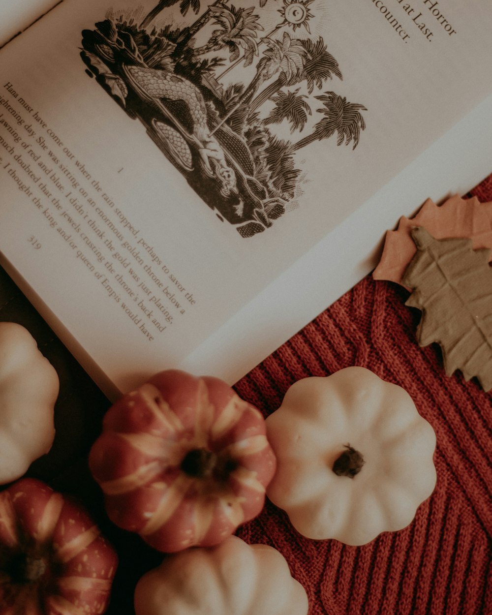 a book and some pumpkins on a table