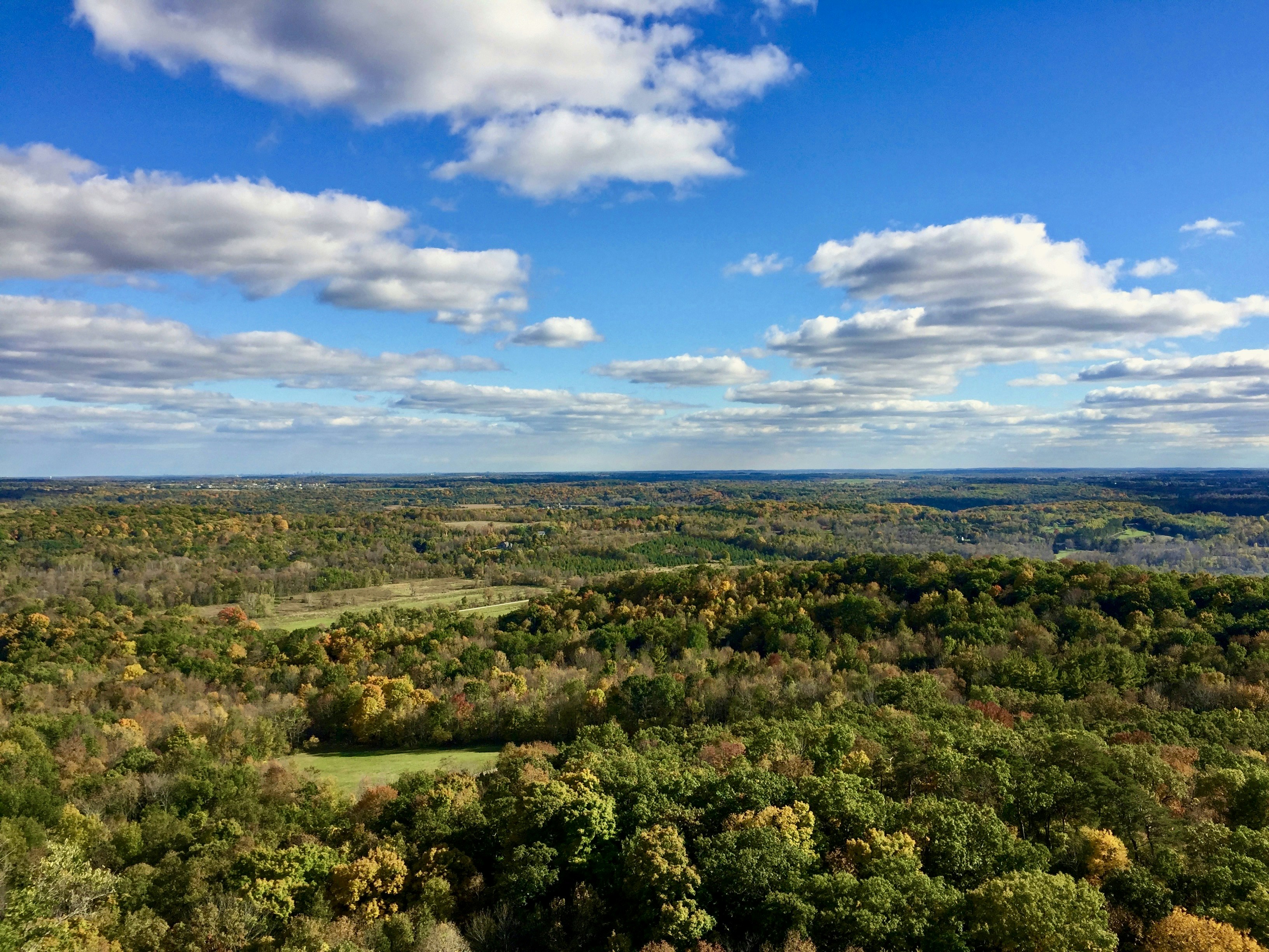 Photo by midkiffaries