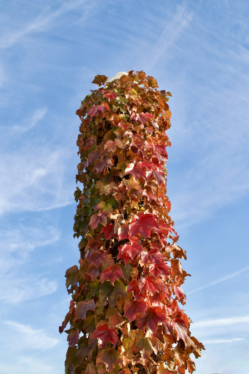 a tall tower covered in lots of leaves under a blue sky