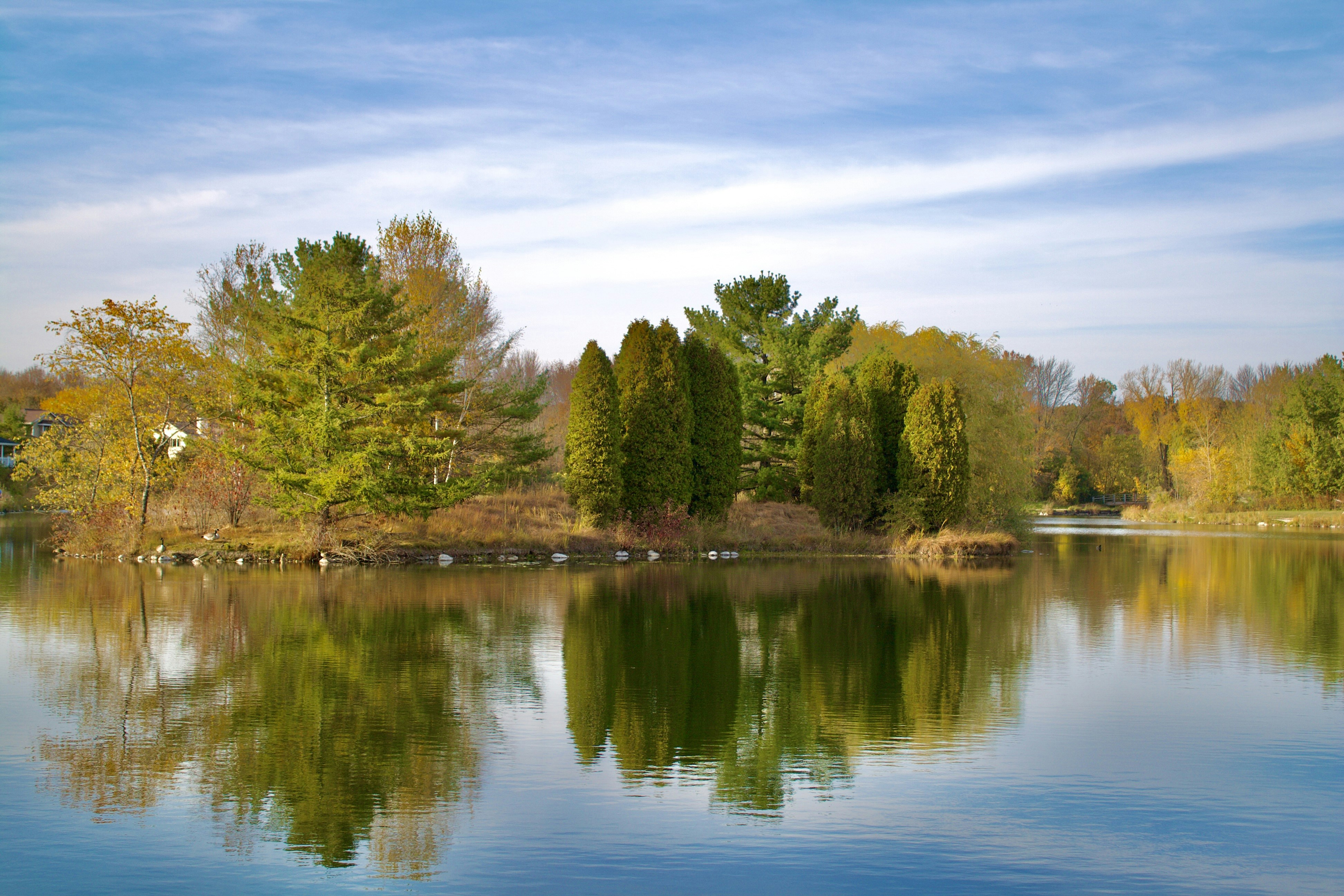 Photo by midkiffaries