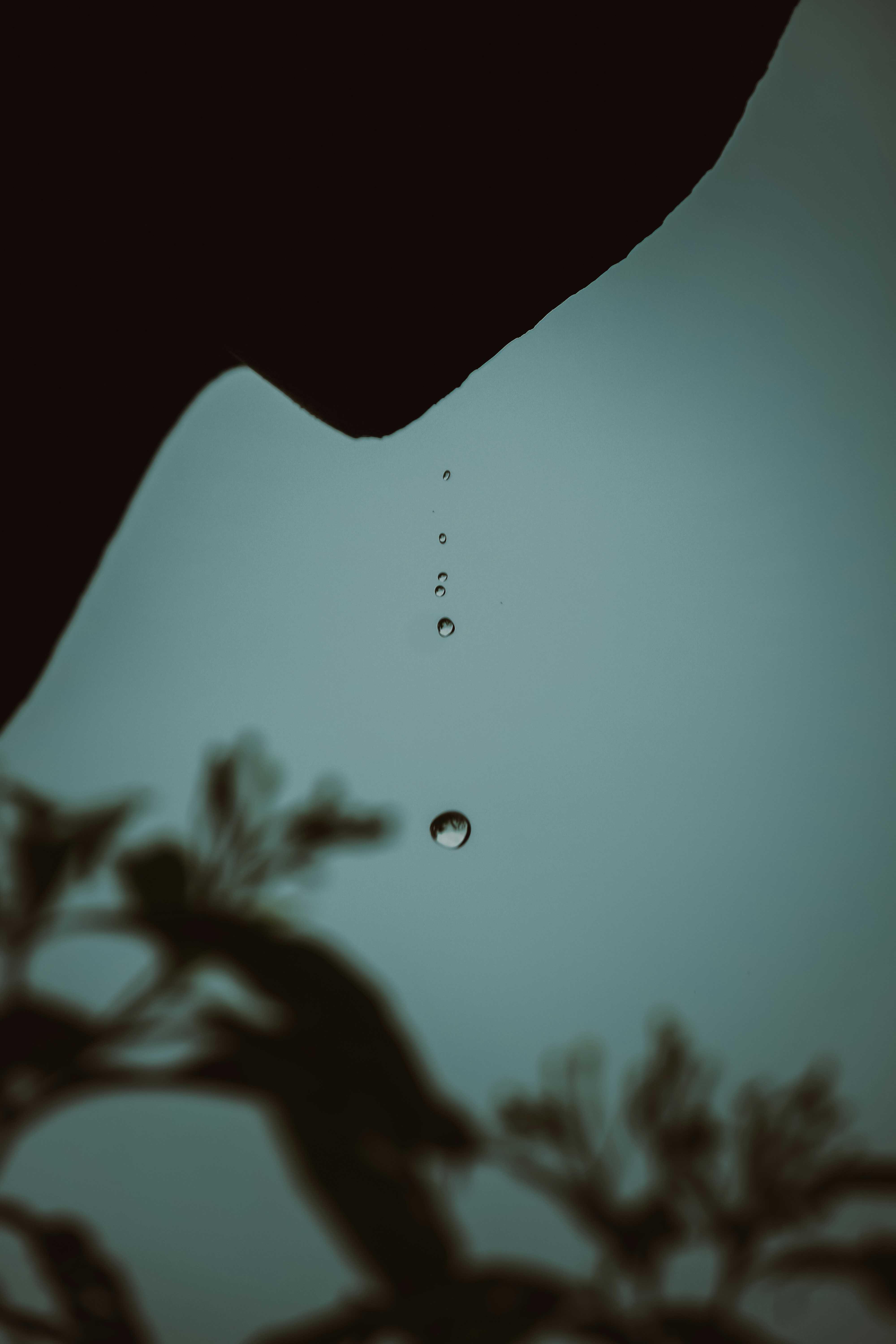 Oily Skin in Rainy Season: Causes & Solutions