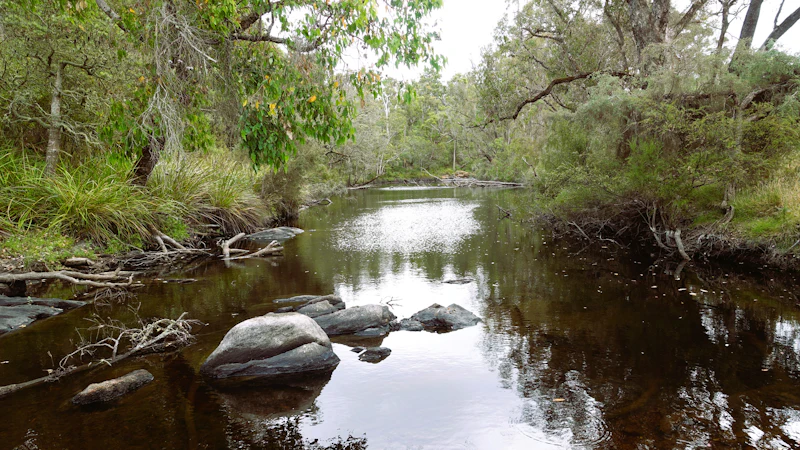 Water and nature
