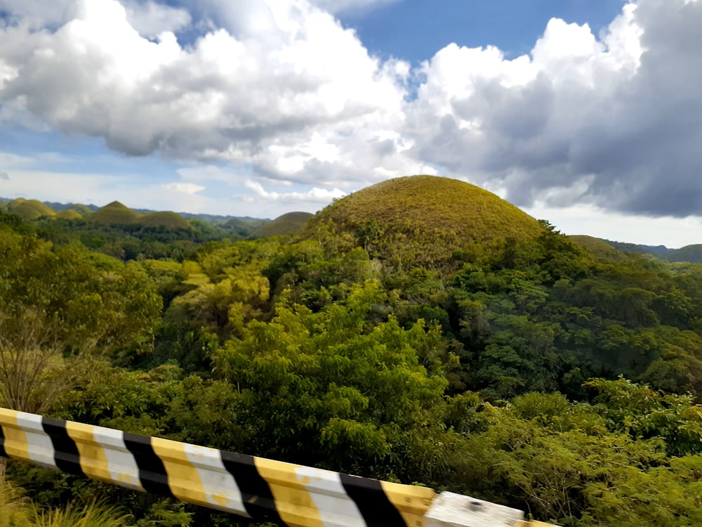 a view of a lush green forest with a mountain in the background