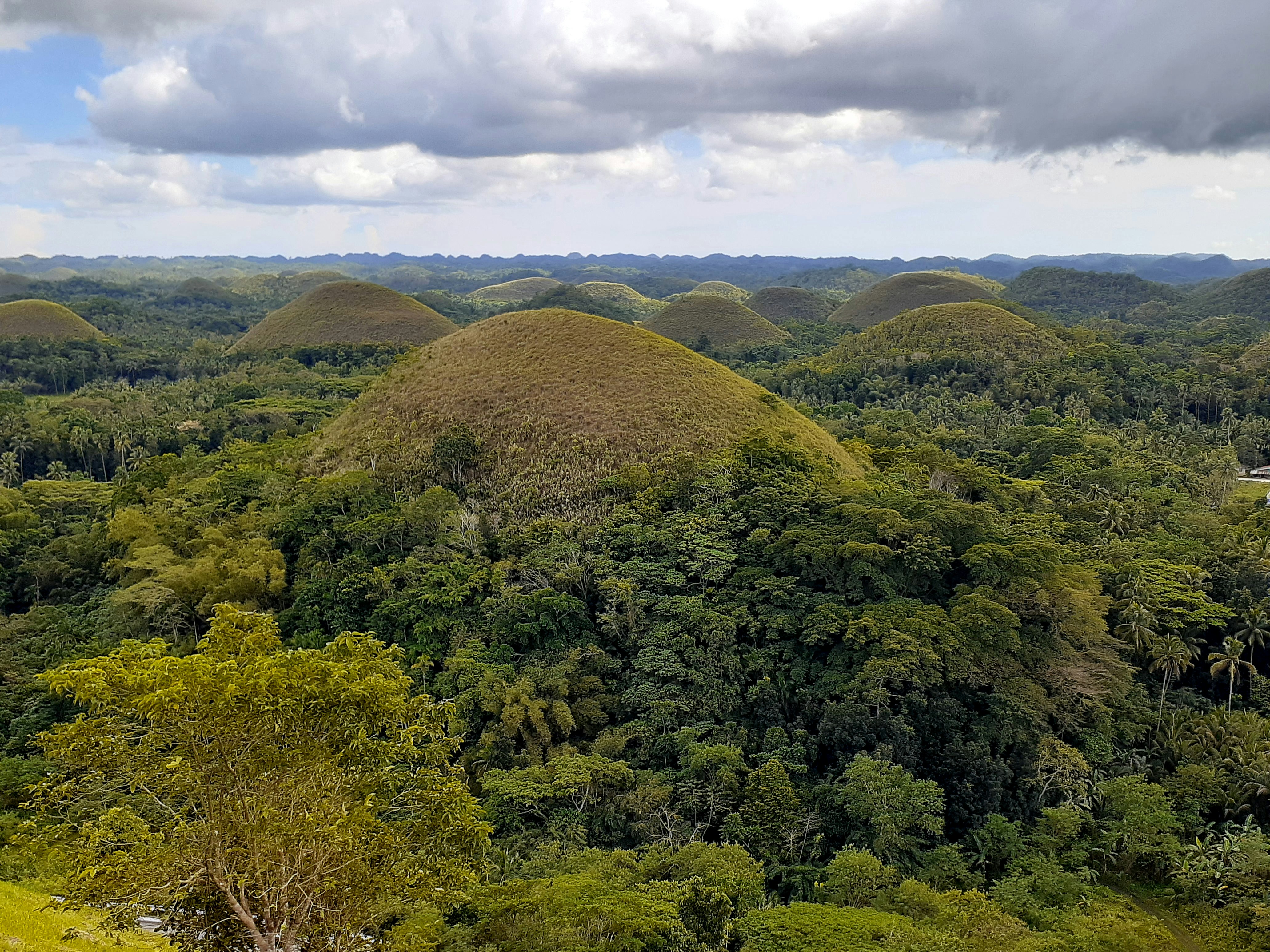 Photo by rserrano0203