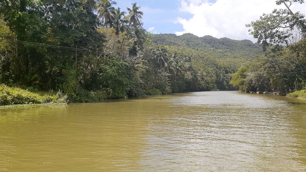 a body of water surrounded by trees and hills