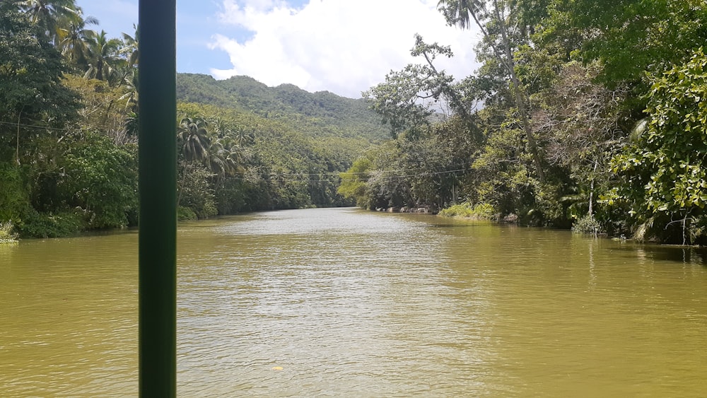 a body of water surrounded by trees and hills