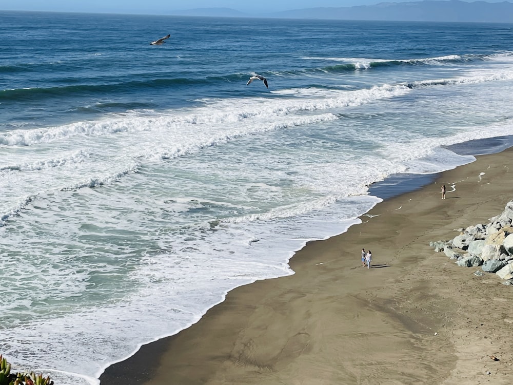 a group of people standing on top of a sandy beach