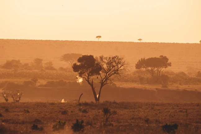 14-Day Tanzania Luxury Itinerary: Serengeti & Zanzibar