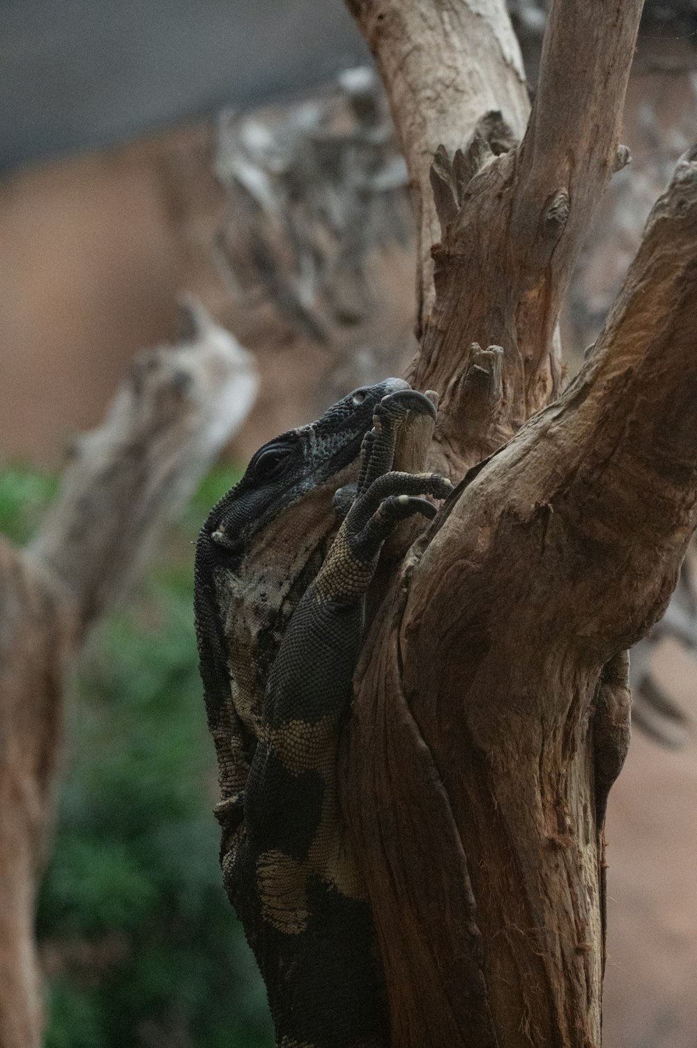 a bird perched on top of a tree branch