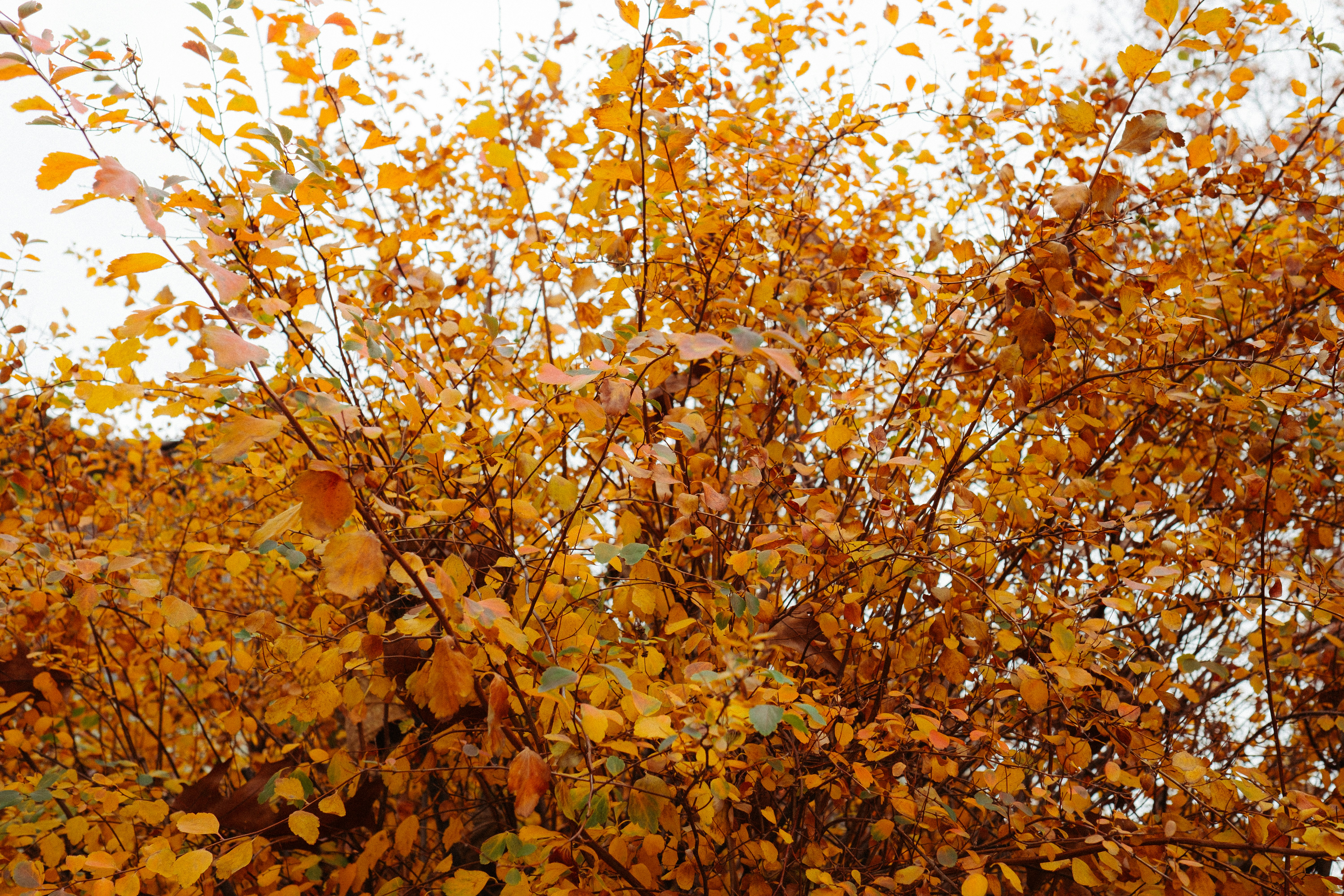 Photo by wesleyphotography