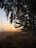A serene sunrise over a peaceful landscape with soft golden light.