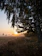 A serene sunrise over a peaceful landscape with soft golden light.