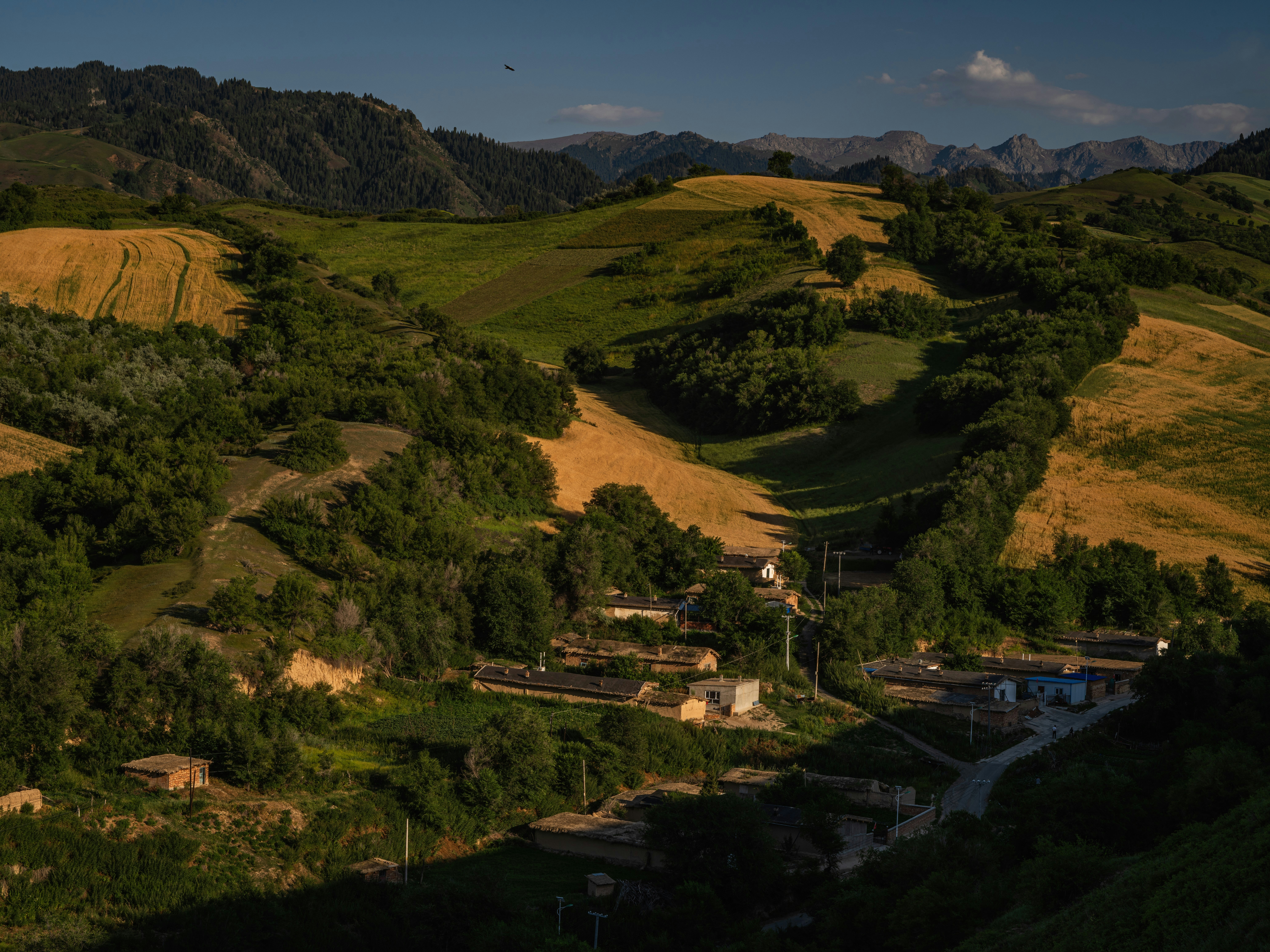 voli per Atollo di Ari Sud
