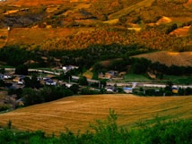 A picturesque landscape depicting rolling hills with varying shades of green and brown. In the foreground, a golden wheat field stretches out, bordered by a small village with a few scattered houses. Behind the village, dense patches of trees create a natural boundary. The setting sun casts warm tones over the scene, enhancing the vibrant colors of the landscape.