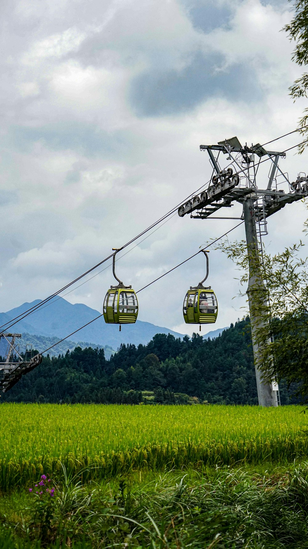 a couple of gondolas hanging over a lush green field
