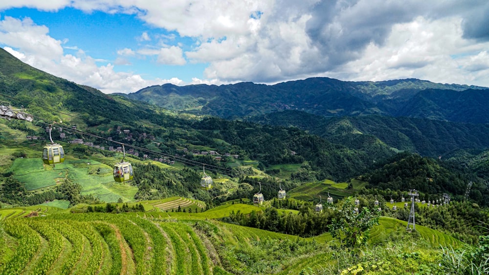 a scenic view of a lush green valley