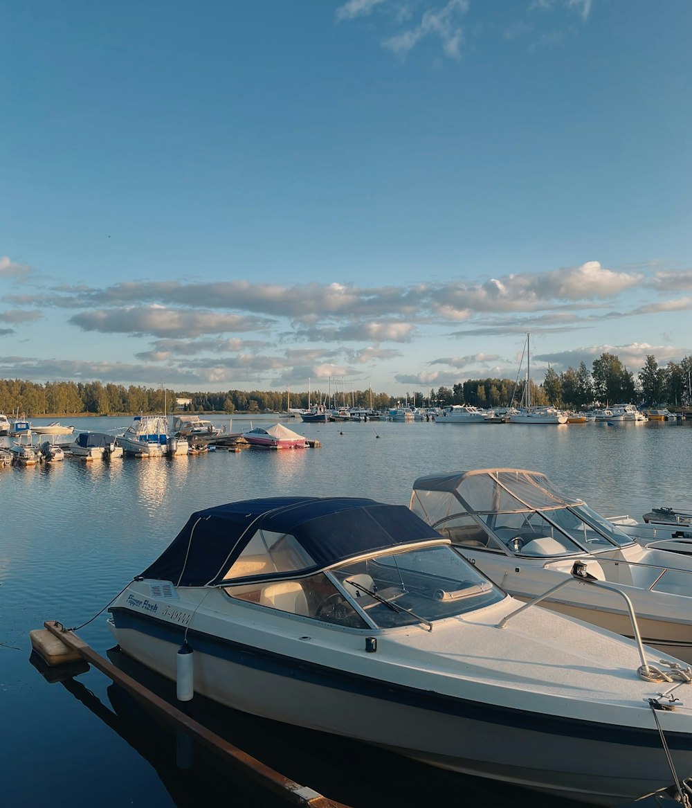 a row of boats docked at a marina