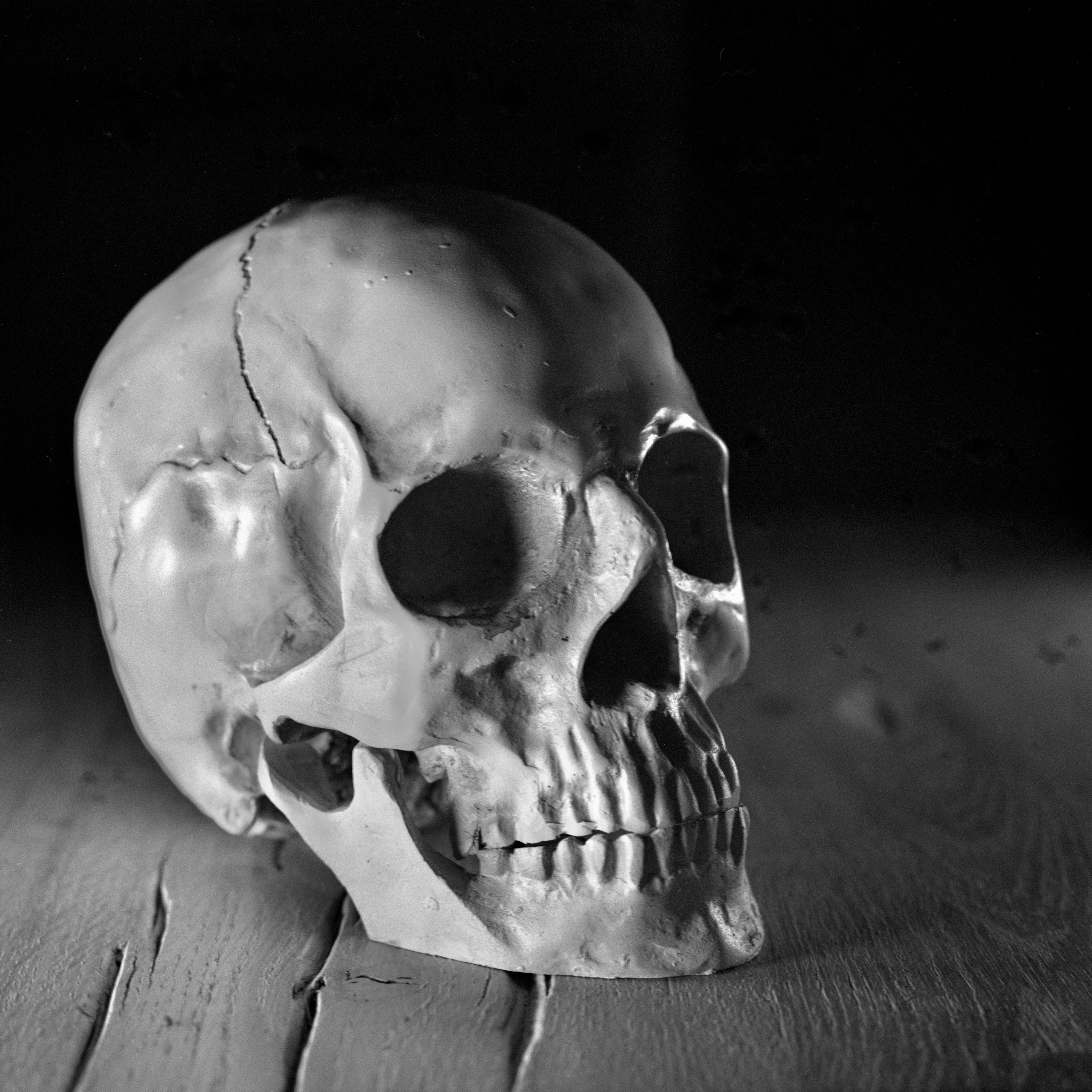 Sacred Skull Tee