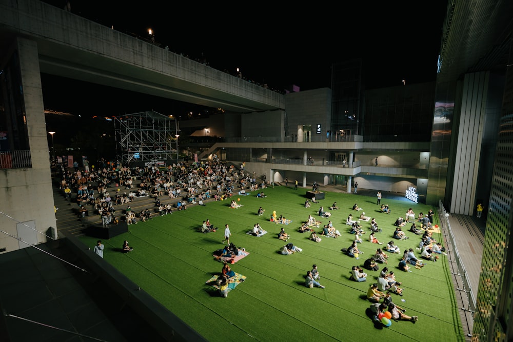 a group of people sitting on top of a lush green field