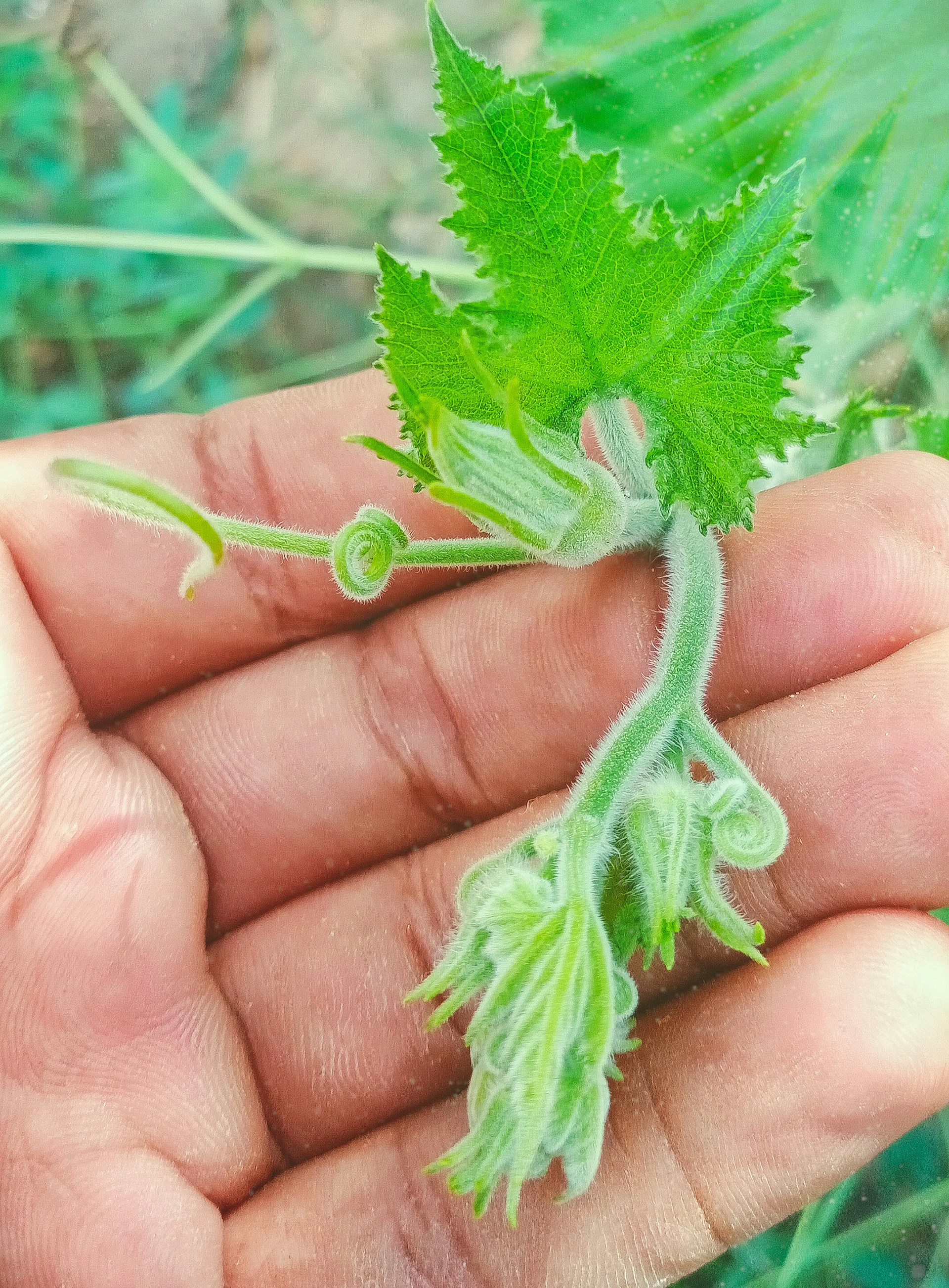 woman wearing yellow long-sleeved dress under white clouds and blue sky during daytime