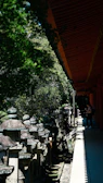 Visitors walking along a shaded path lined with stone lanterns and natural foliage.