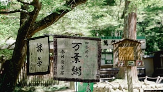 A serene dojo interior with wooden floors and traditional Japanese calligraphy on the walls.