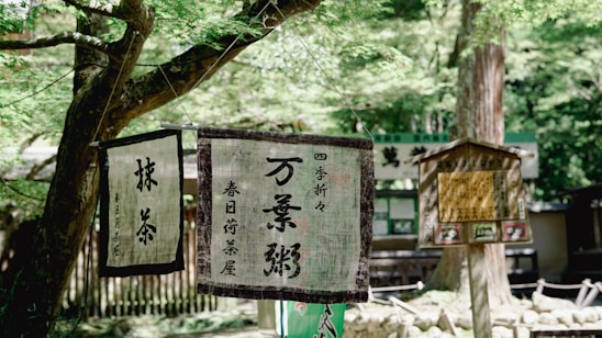 A serene dojo interior with wooden floors and traditional Japanese calligraphy on the walls.