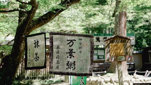 A serene workspace with Japanese calligraphy and financial charts reflecting disciplined money management.