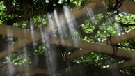 Sunlight casting soft shadows on a bamboo water fountain creating a tranquil atmosphere.