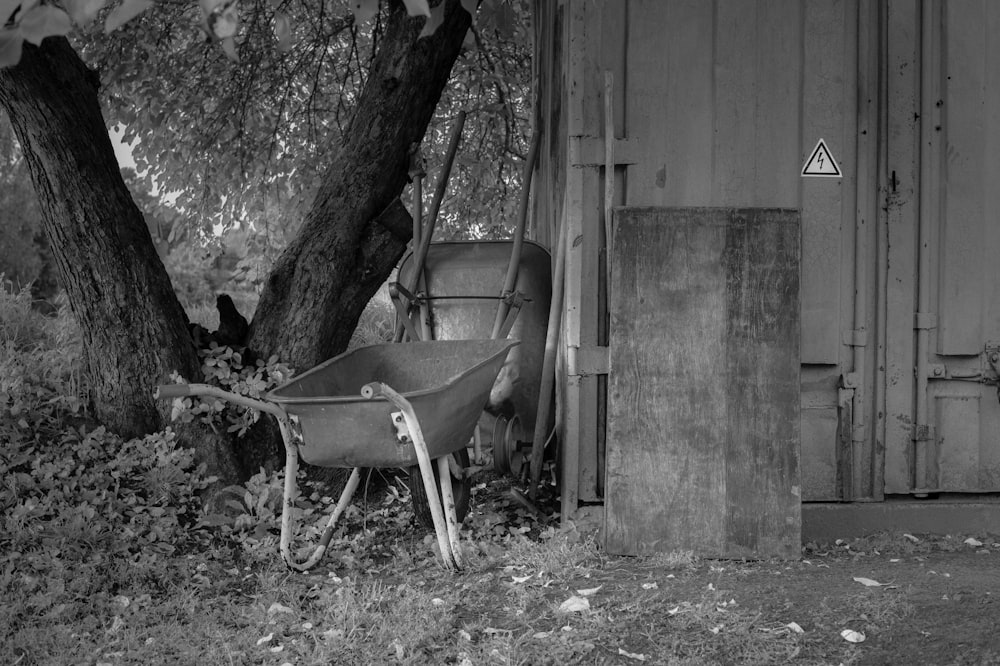 an old wheelbarrow sitting next to a tree