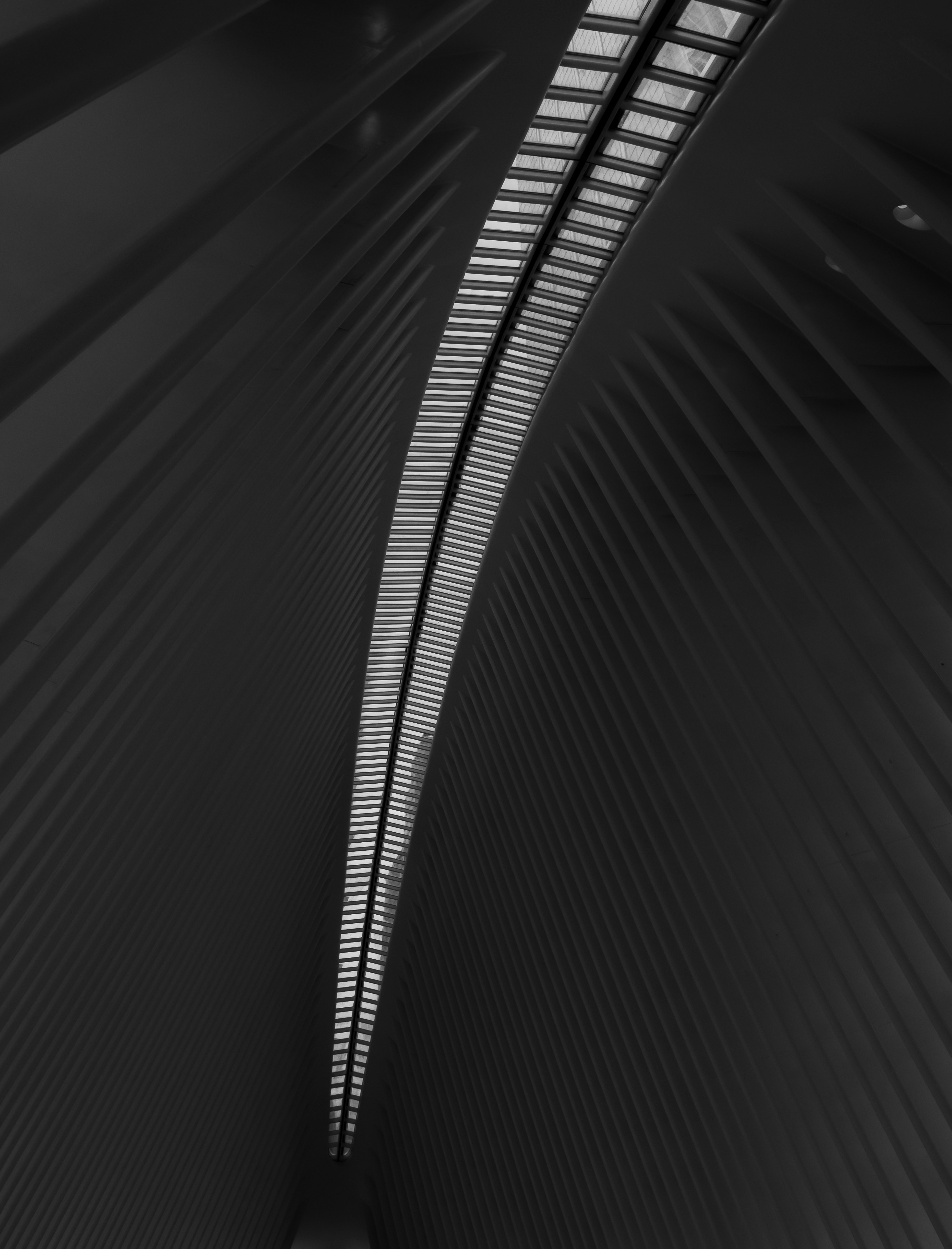 Photo by gabrielalmanzar