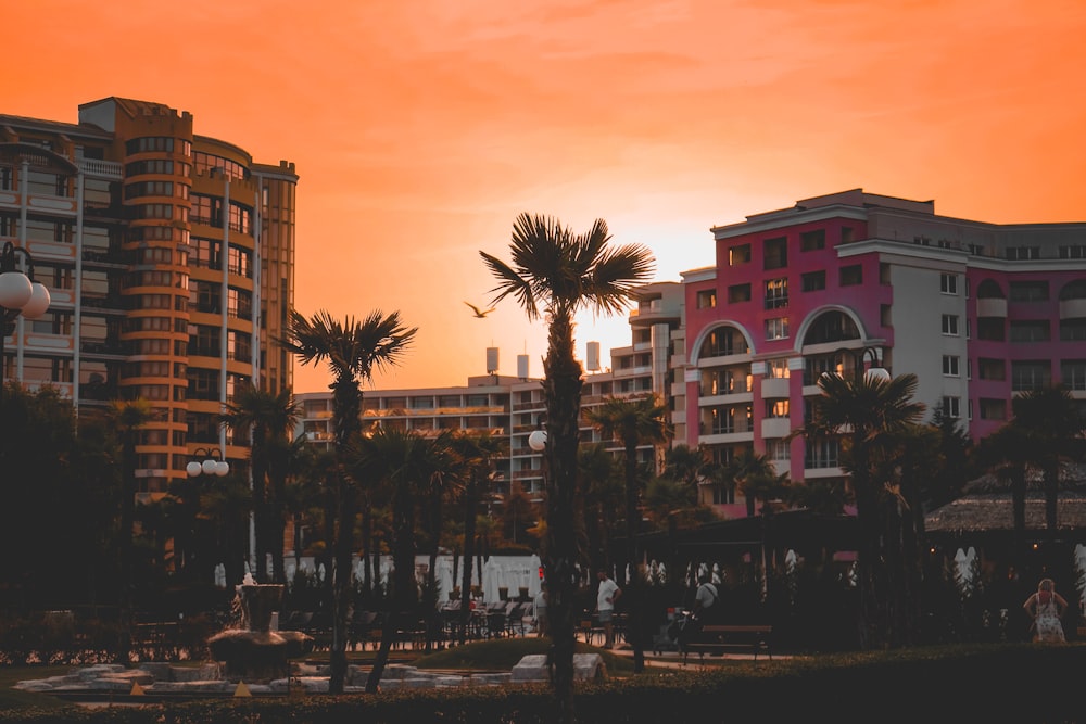 a sunset view of a city with palm trees