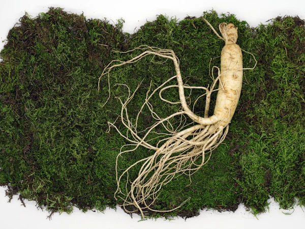 Ashwagandha for Energy