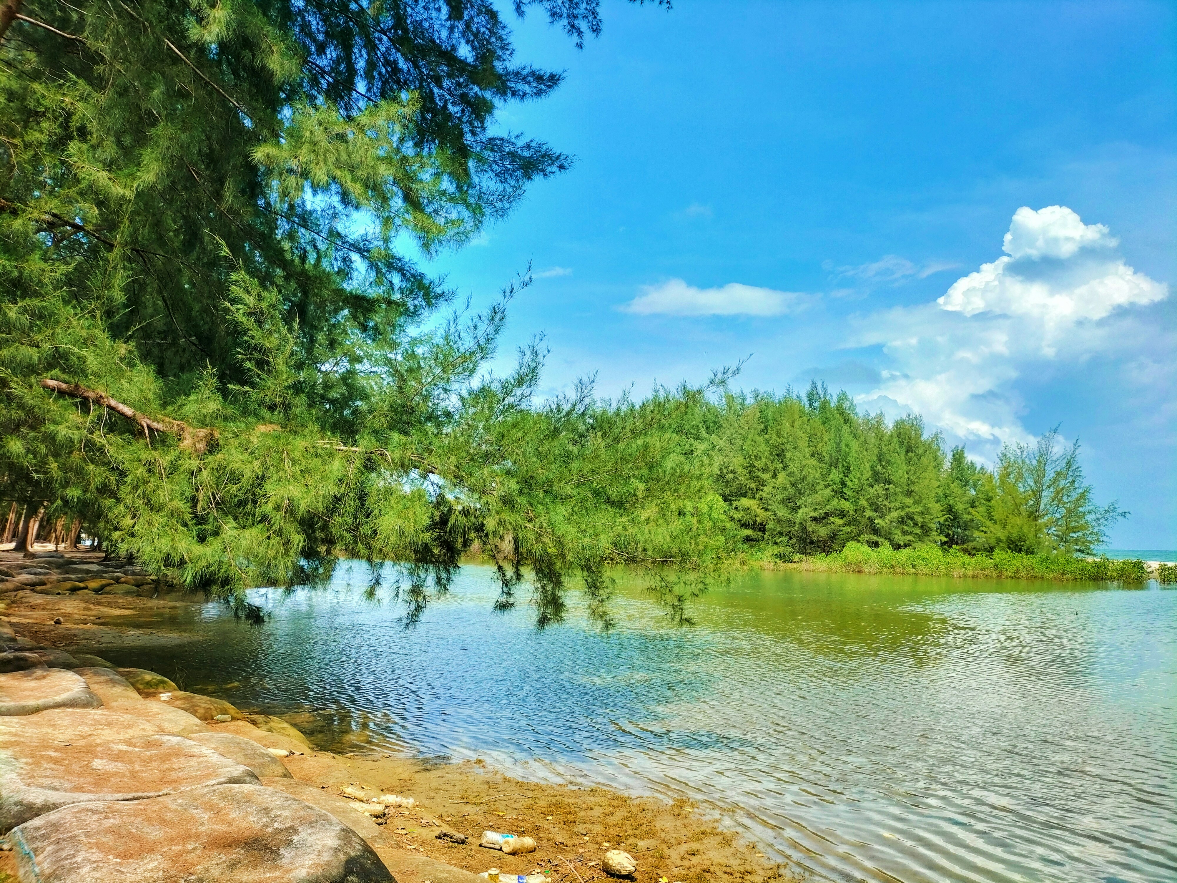 Photo by lealanur7924