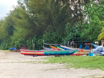 Several colorful boats are parked on a sandy beach, surrounded by lush green trees. The boats are in various colors, including red, green, and blue, and are positioned on trailers. The background is filled with dense greenery, creating a natural and serene environment.
