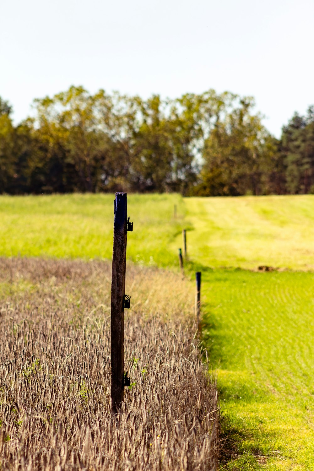 a wooden pole in a field with trees in the background
