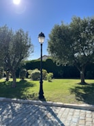A serene outdoor setting featuring a well-maintained grassy area bordered by trees and shrubs. In the center, a tall black street lamp stands out against the clear blue sky. The sunlight casts soft shadows on the cobblestone pathway in the foreground.