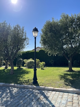 A serene outdoor setting featuring a well-maintained grassy area bordered by trees and shrubs. In the center, a tall black street lamp stands out against the clear blue sky. The sunlight casts soft shadows on the cobblestone pathway in the foreground.