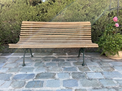 A vibrant backyard with freshly laid sod and a rustic wooden bench.