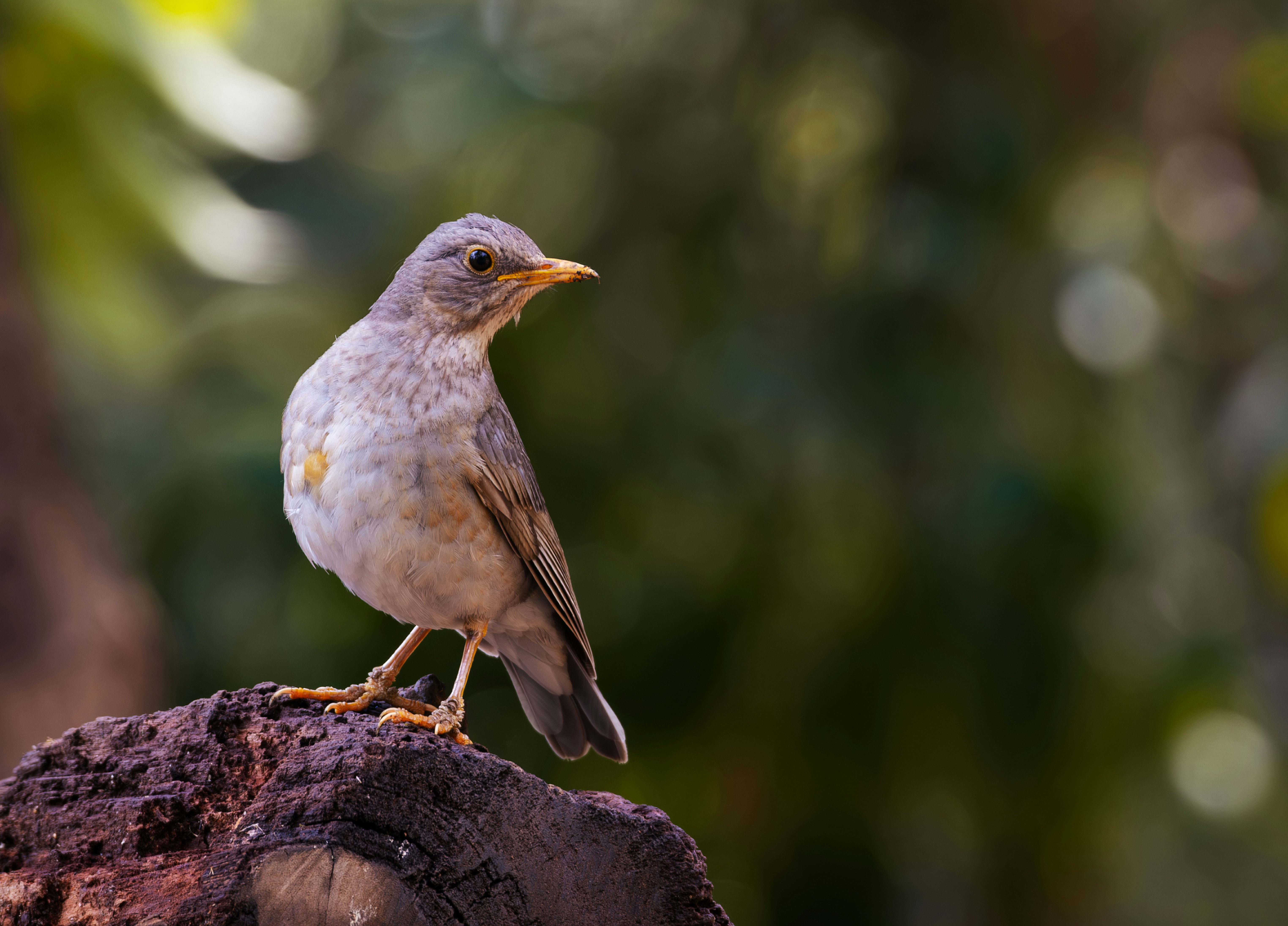 Photo by mhphotography13