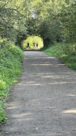 A serene pathway stretches into the distance, flanked by lush green foliage and trees forming an arch overhead. Three people are seen walking together in the distance, enjoying the natural surroundings under the dappled sunlight.