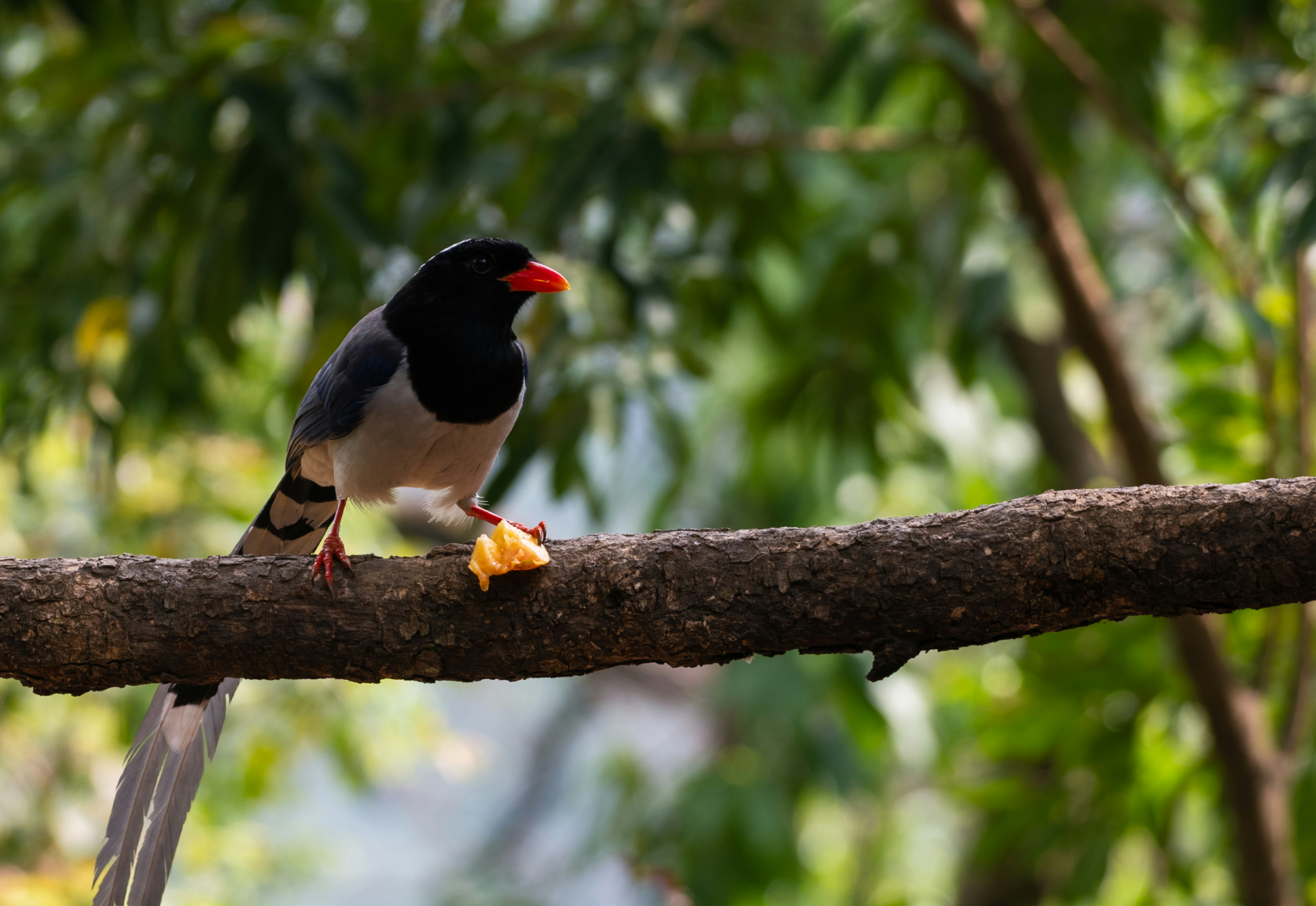 Photo by mhphotography13