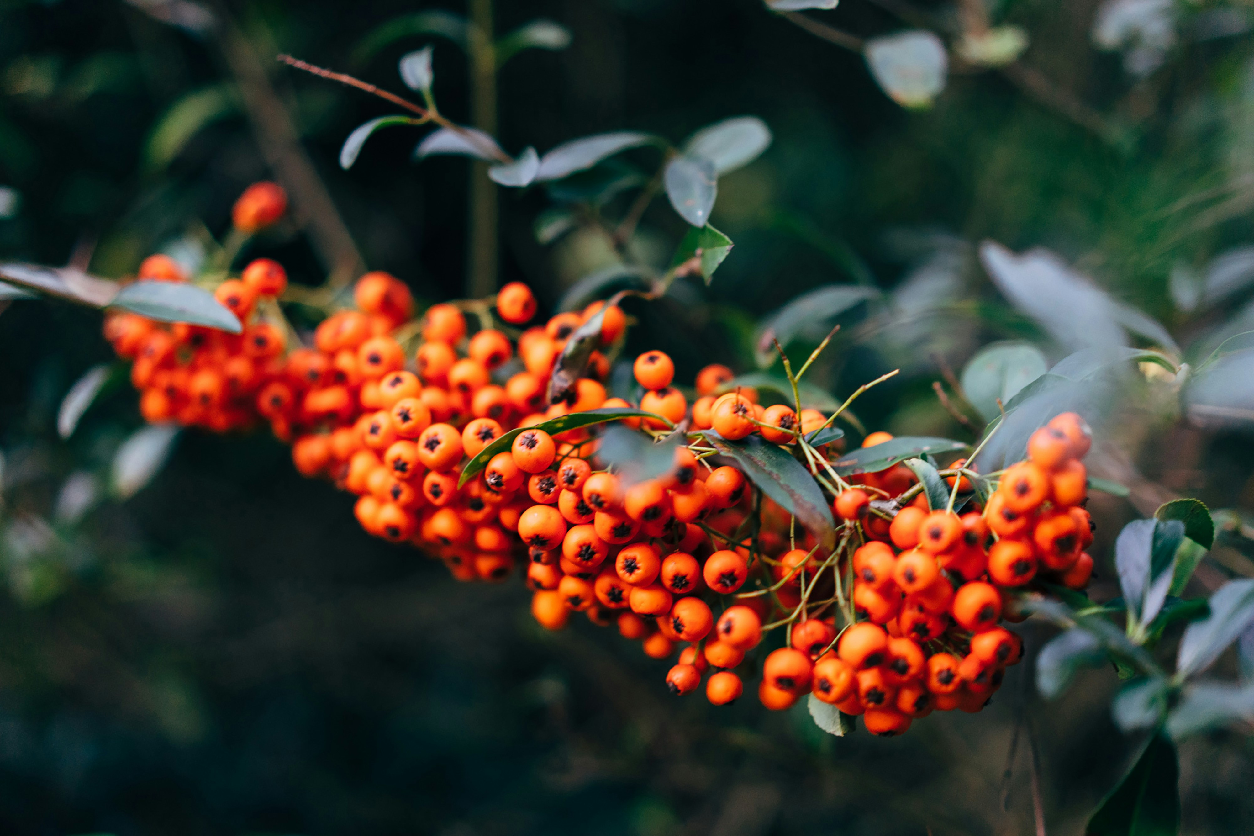 Photo by markuswinkler