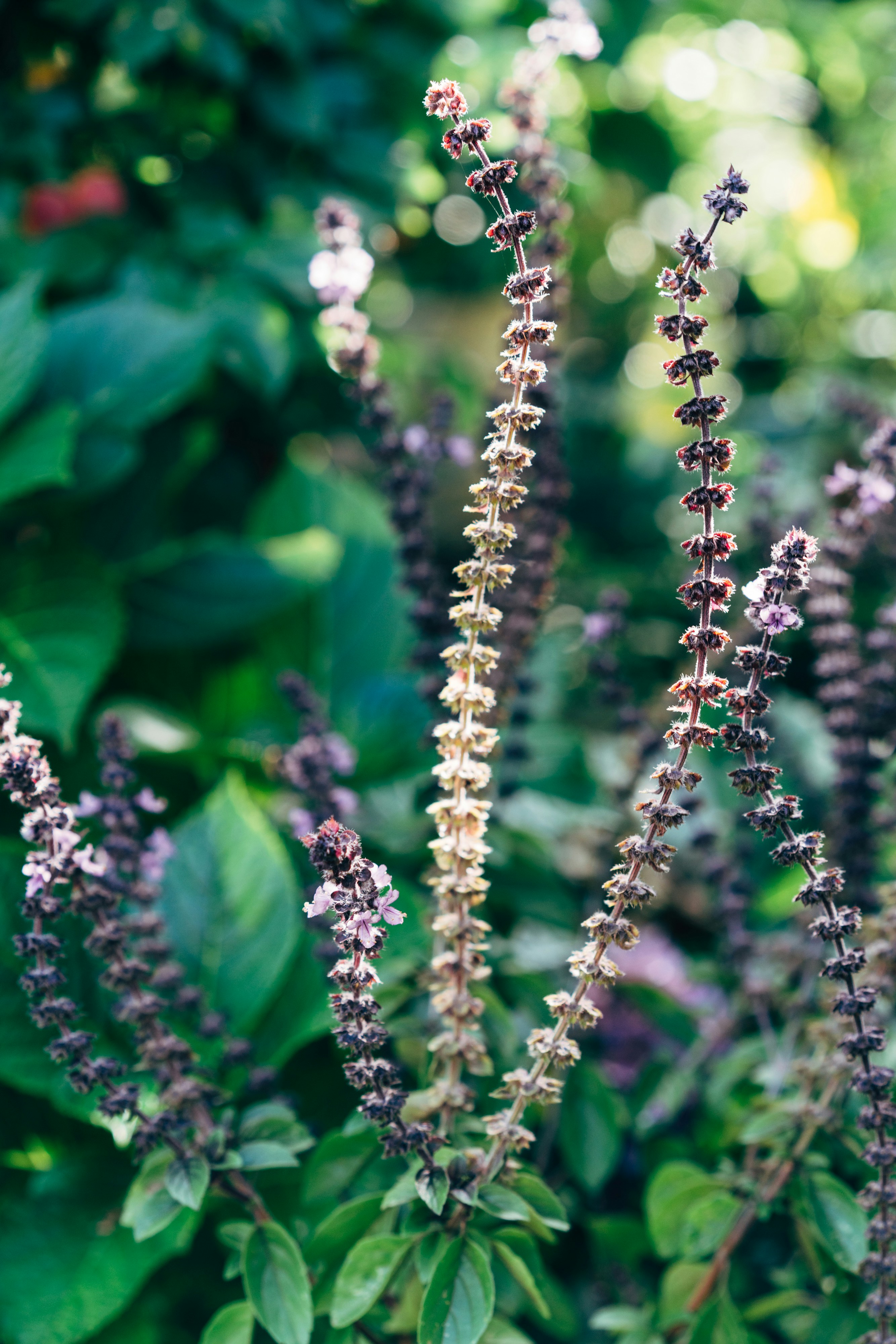 Photo by markuswinkler