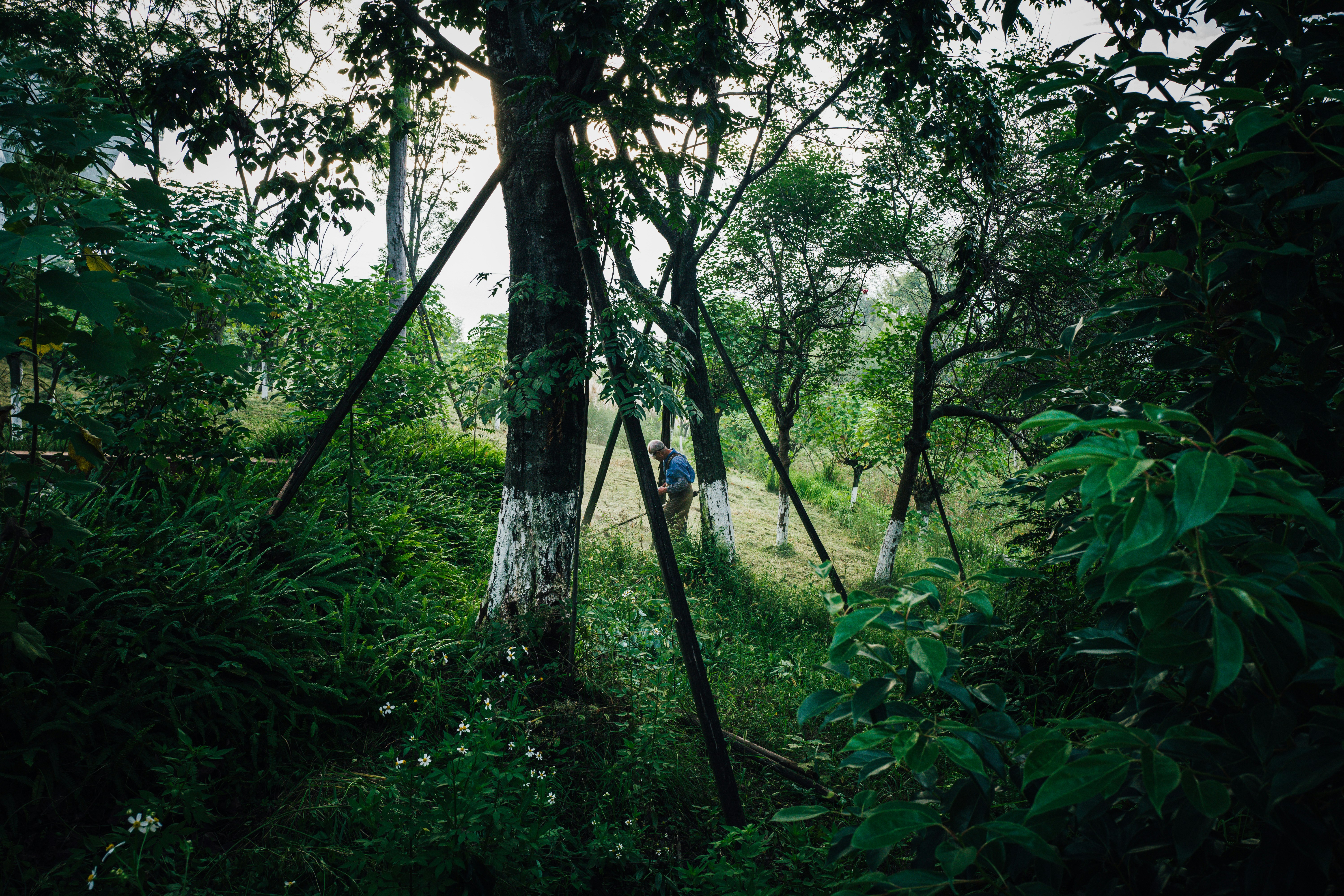 Photo by xingchenyan