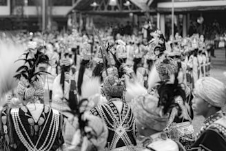 A large gathering of people dressed in traditional attire with intricate patterns and headdresses featuring feathers. The people appear to be part of a ceremonial or cultural event with a sense of movement and unity in their arrangement.