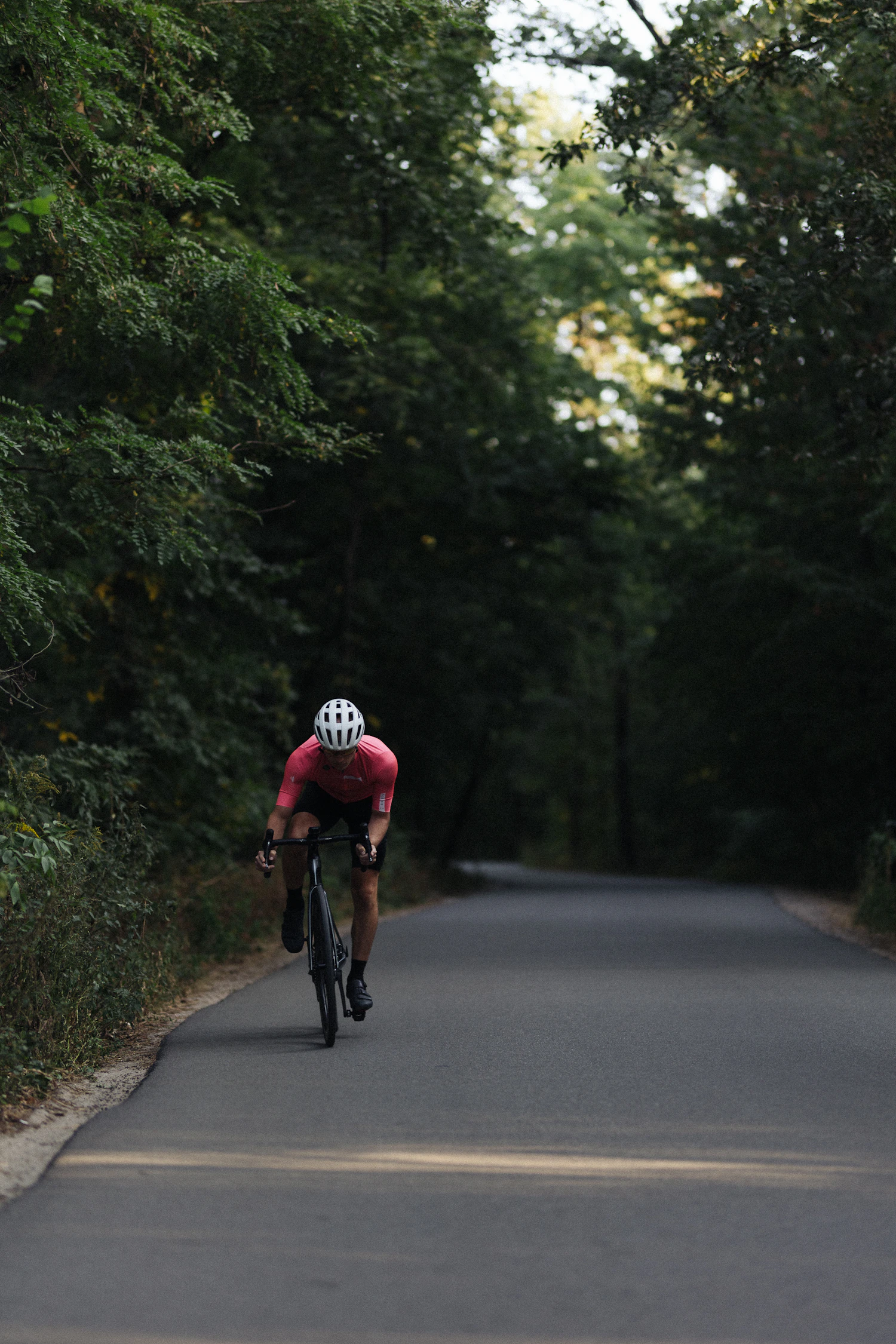 Road cyclist wearing a helmet while riding on a tree-lined road